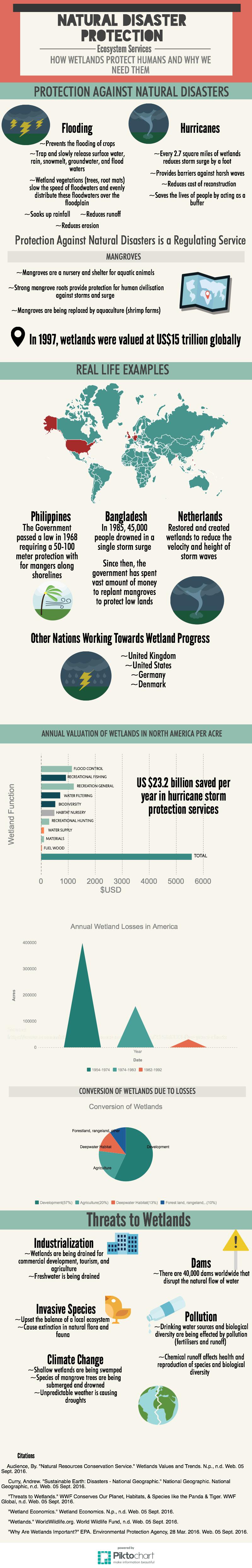 Wetlands_Infographic