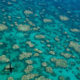 New Report Shows Two-Thirds of the Great Barrier Reef Hit by Back-to-back Mass Bleaching