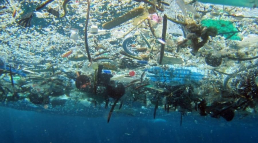 6 Ways Divers Can Reduce Plastic Pollution in Our Oceans