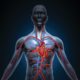 How Diving Affects Your Health and Circulatory System