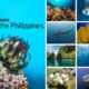 The Best Diving in the Philippines