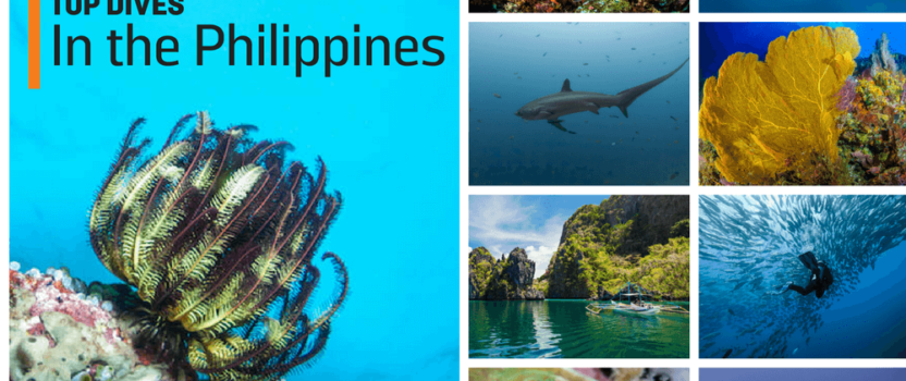 The Best Diving in the Philippines