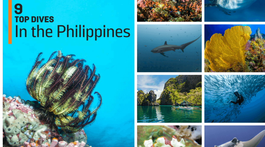 The Best Diving in the Philippines