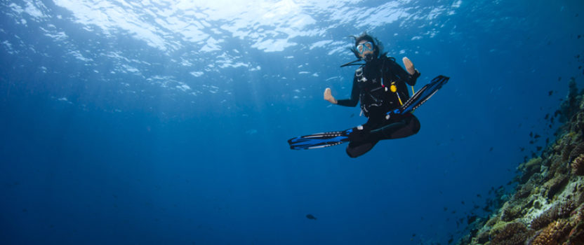 Zen and the Art of Diving