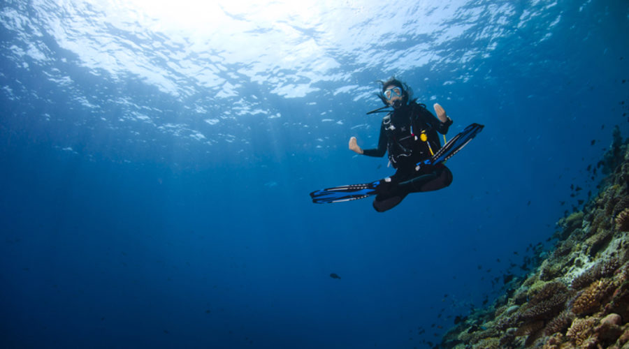 Zen and the Art of Diving