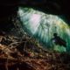 Diving the Cenotes of Mexico’s Yucatan Peninsula