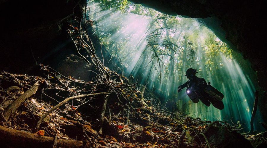 Diving the Cenotes of Mexico’s Yucatan Peninsula