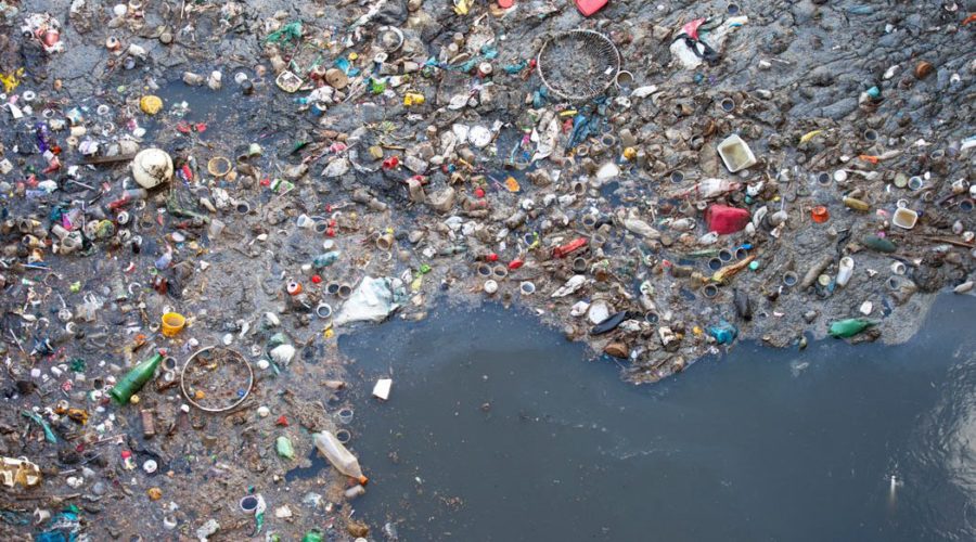 Study Indicates Great Pacific Garbage Patch is Growing