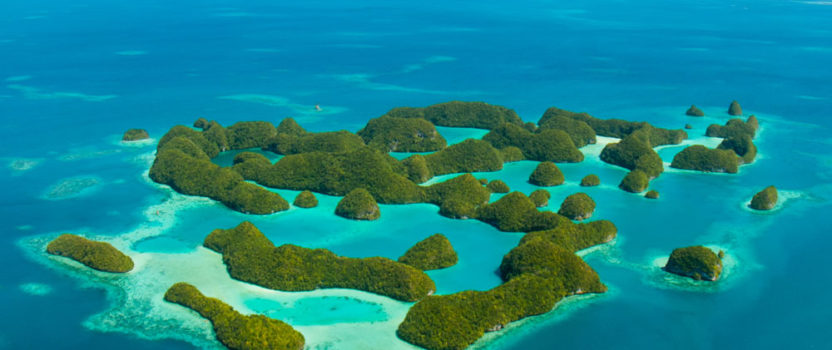 Palau Bans Sunscreen Chemicals to Protect its Coral Reefs