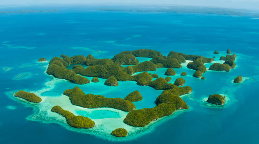 Palau Bans Sunscreen Chemicals to Protect its Coral Reefs