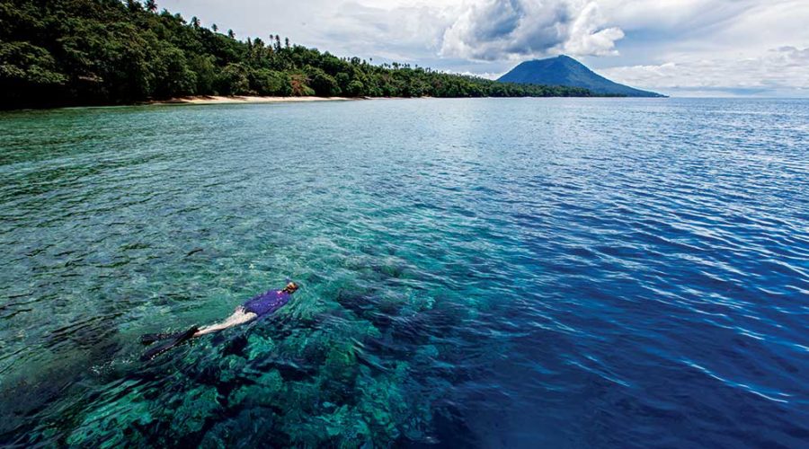 North Sulawesi Trifecta