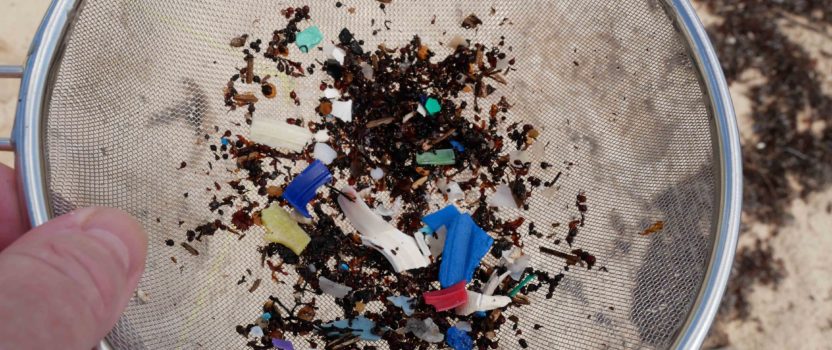 The Big Microplastic Survey