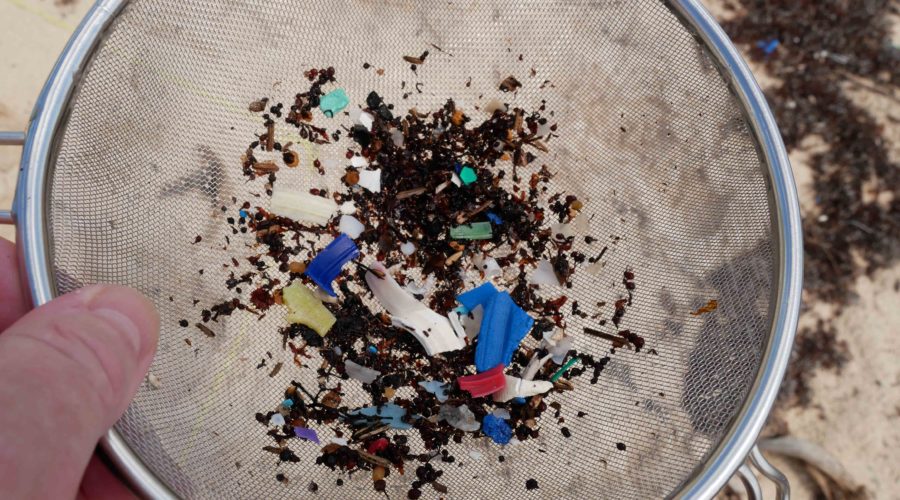 The Big Microplastic Survey