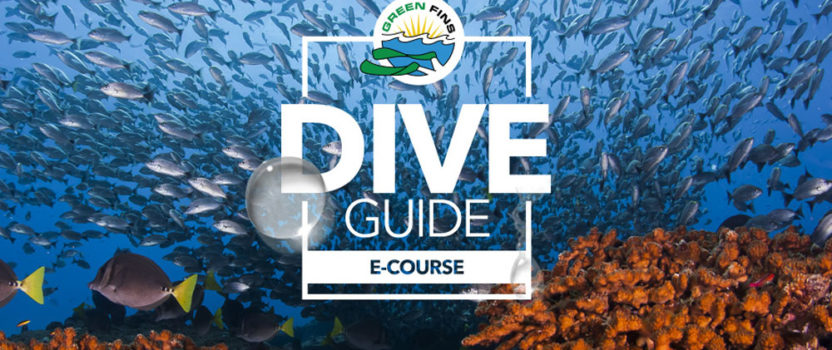 New Online Course to Train Dive Guides in Best Environmental Standards