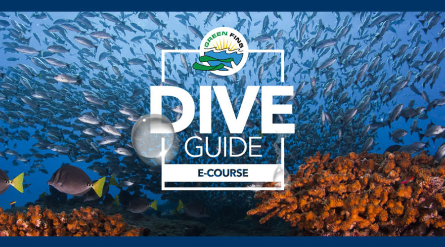 New Online Course to Train Dive Guides in Best Environmental Standards