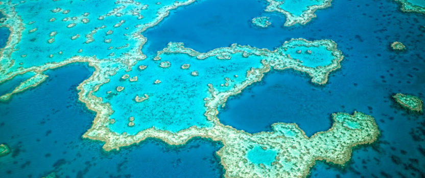 The Great Barrier Reef is being battered by climate change, and it might only get worse