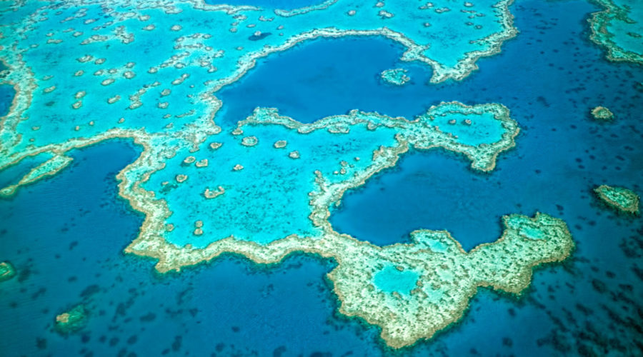 The Great Barrier Reef is being battered by climate change, and it might only get worse